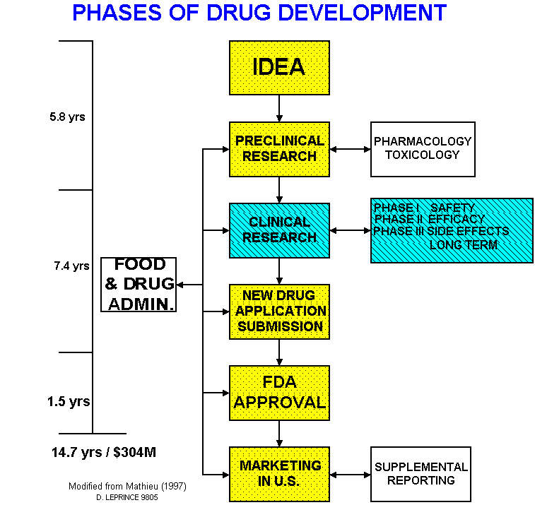 phasesofdrugdev2.gif (21842 bytes)